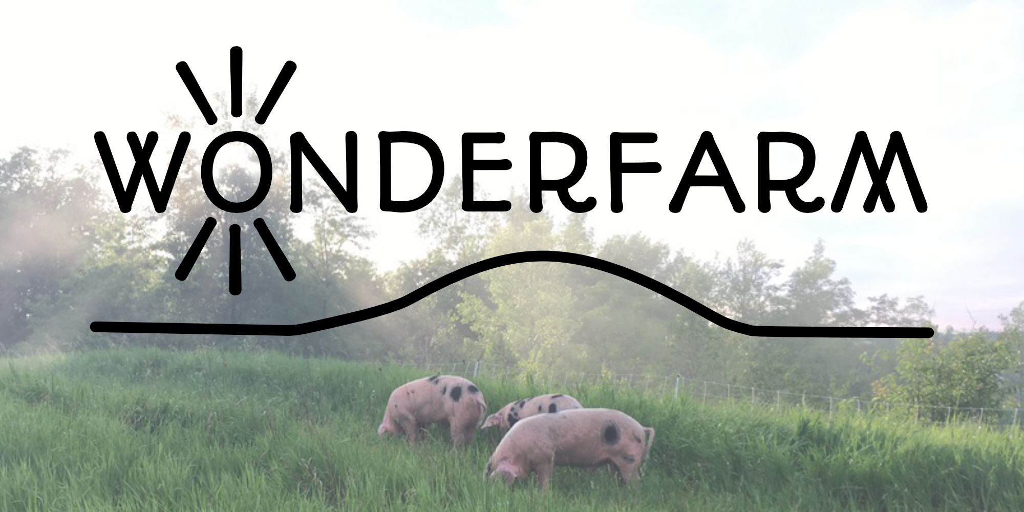 Wonderfarm logo over a scene of spotted pigs eating grass